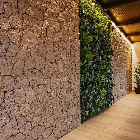 Villa Lamar Luxury With Private Pool And Jacuzzi Fasnia